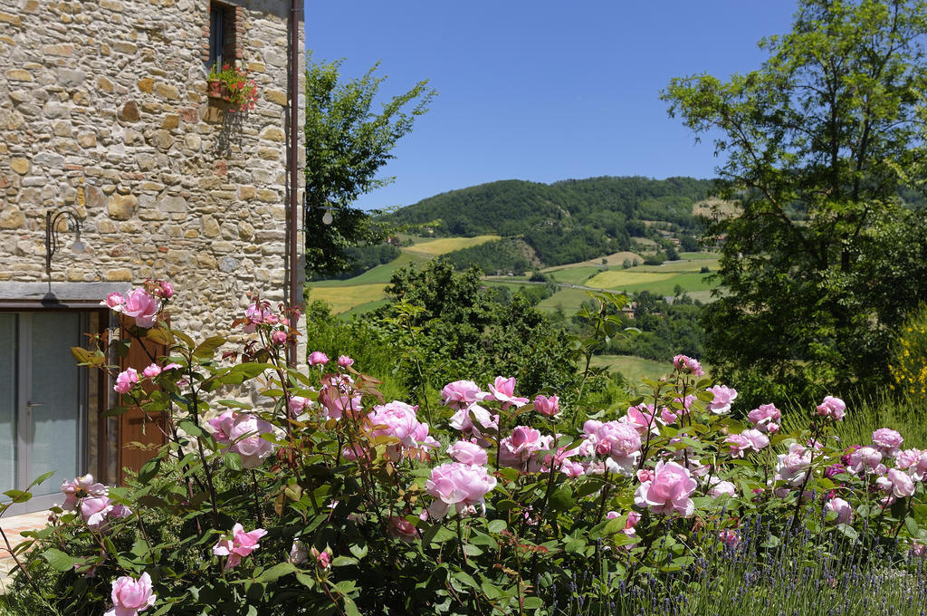 Lodole B&B Monzuno Extérieur photo